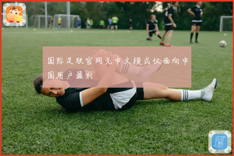 国际足联官网无中文模式仅面向中国用户盈利